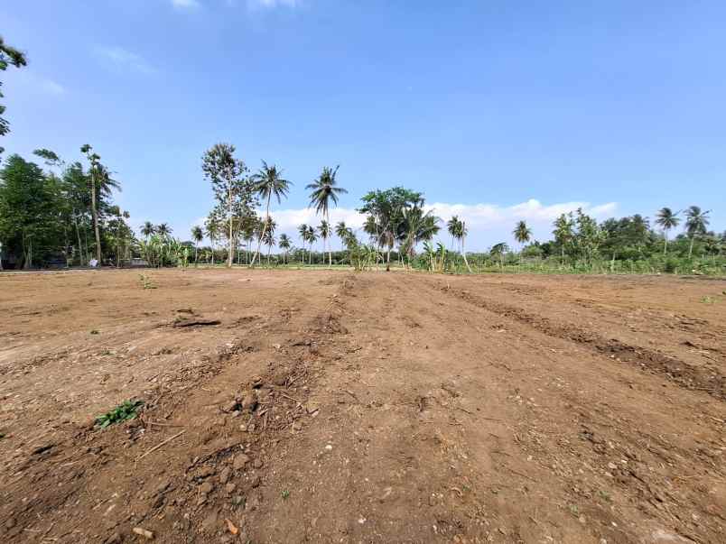 dijual tanah gedongan sumberagung