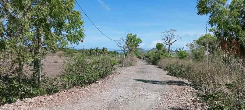 dijual tanah jalan lintas poto tano sumbawa