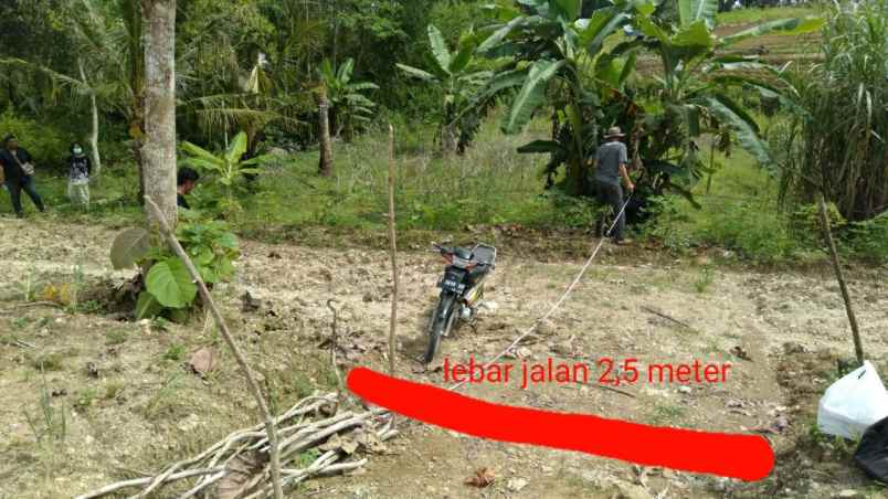 dijual tanah jalan mawar rt06 rw 08