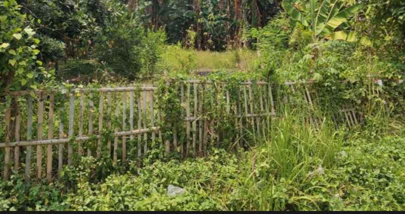 dijual tanah jalan raya marsekal