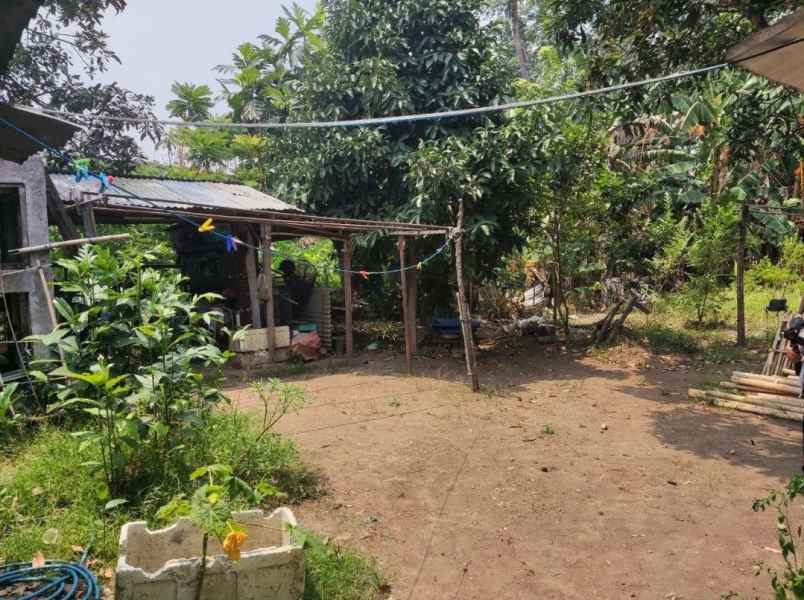 dijual tanah jalan raya marsekal
