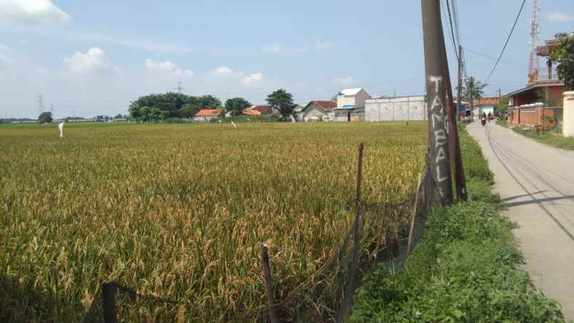 dijual tanah jalan srimukti