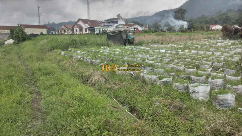 dijual tanah jalan tongkoh tugu jeruk