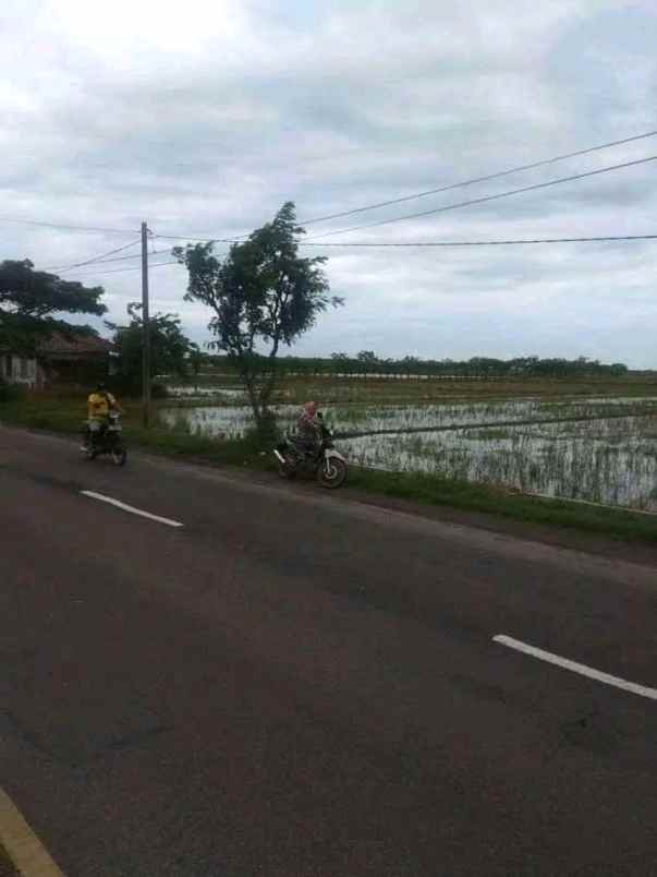 dijual tanah jalur lohbener cirebon