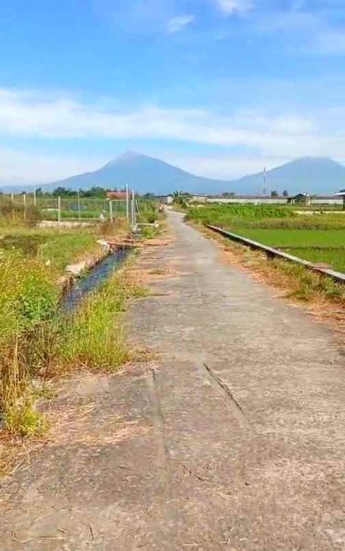 dijual tanah janti klaten