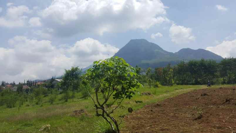 dijual tanah jl abdul gani atas