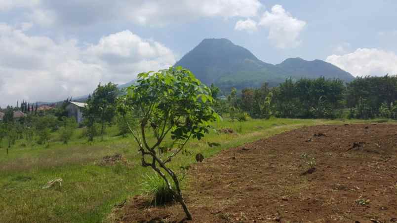 dijual tanah jl abdul gani atas