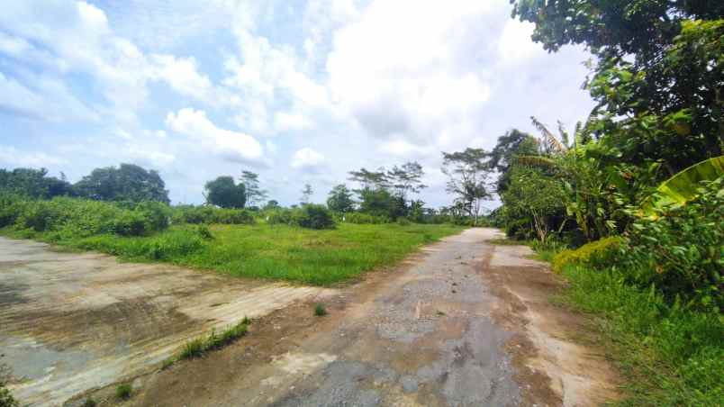 dijual tanah jl daendels purworejo