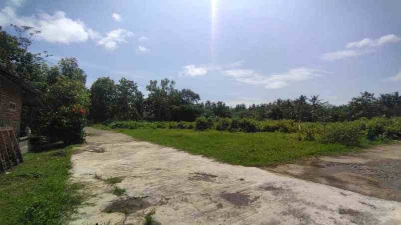 dijual tanah jl daendels purworejo