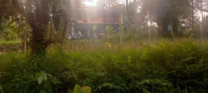 dijual tanah jl jampang