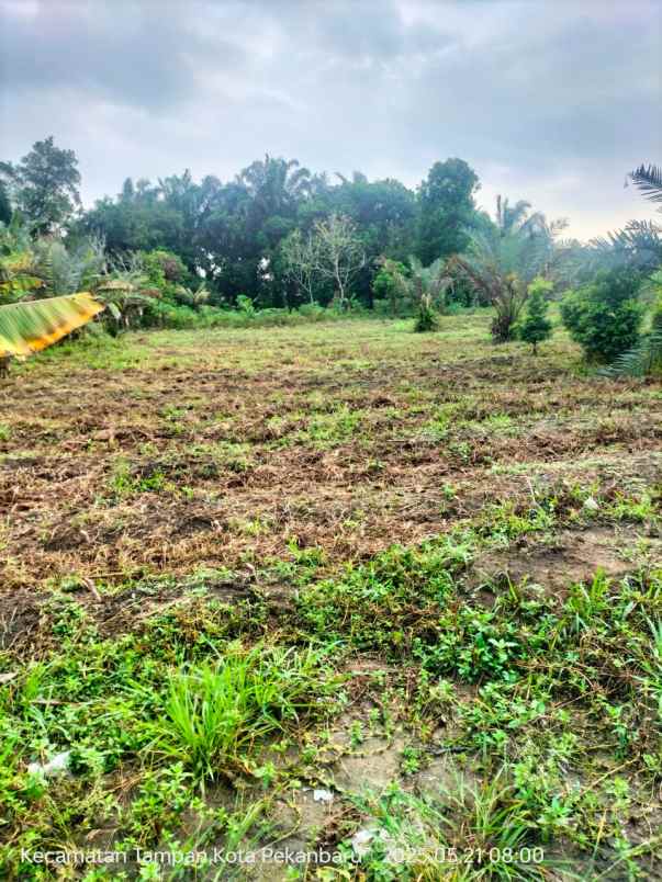 dijual tanah jl karya masa