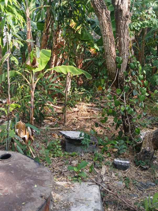 dijual tanah jl kebo iwo selatan