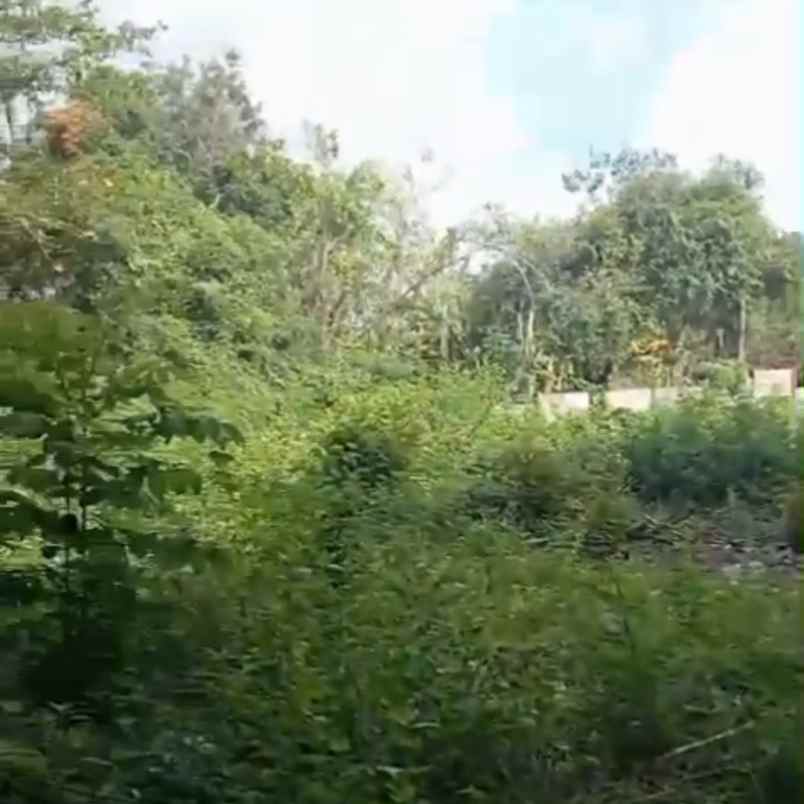 dijual tanah jl mertasari