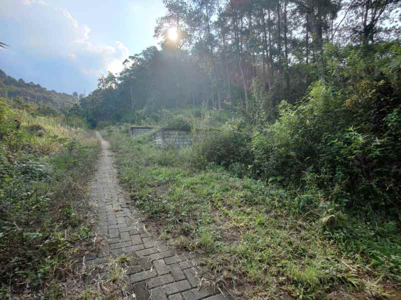 dijual tanah jl rambutan songgoriti