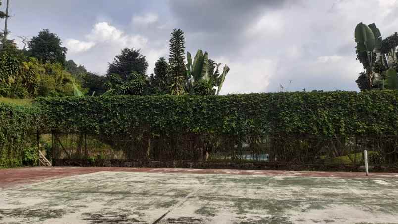 dijual tanah jl raya ciawi cianjur puncak