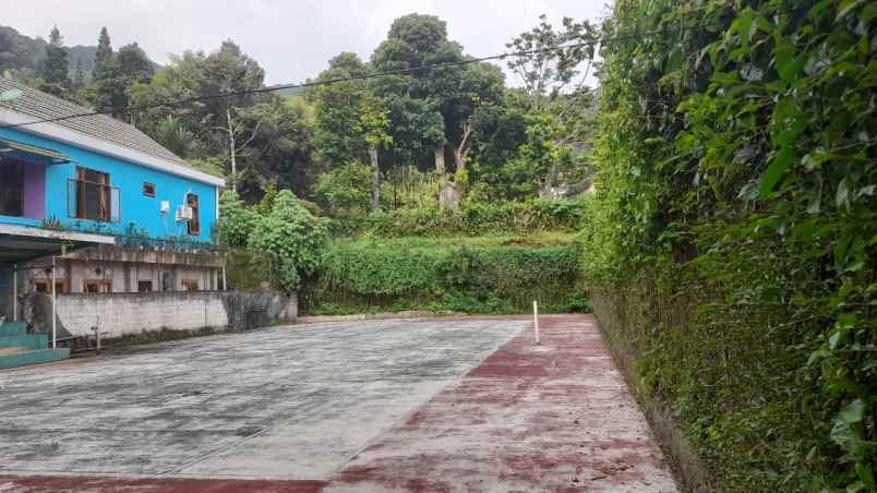 dijual tanah jl raya ciawi cianjur puncak