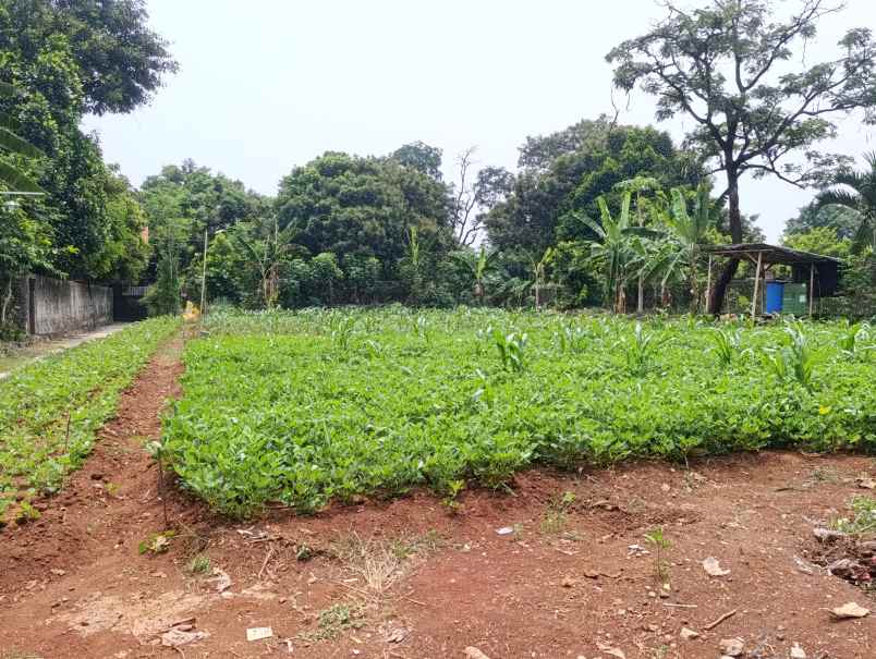 dijual tanah jl raya pitara kali licin