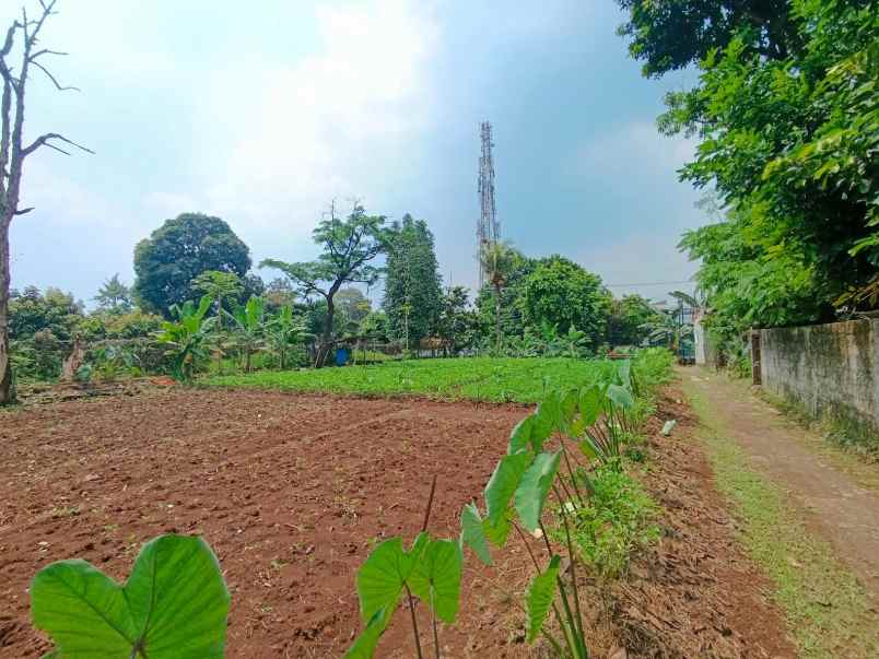 dijual tanah jl raya pitara kali licin