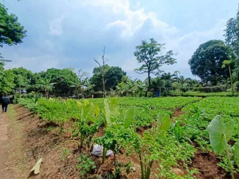 dijual tanah jl raya pitara kali licin