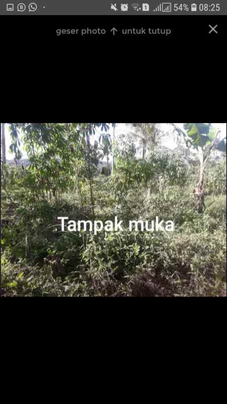 dijual tanah jln camara lembur sawah