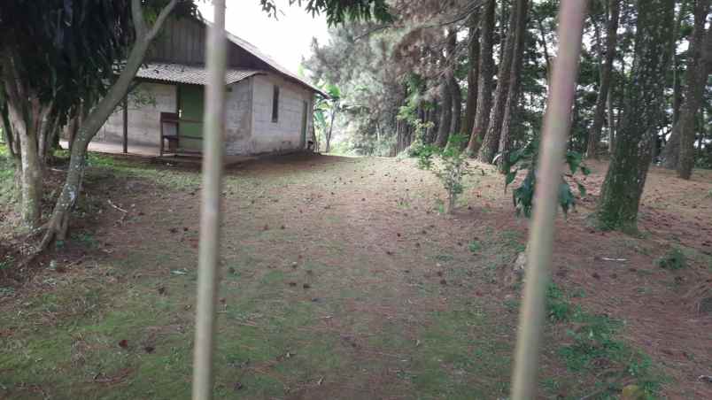 dijual tanah jln lodaya gunung geulis