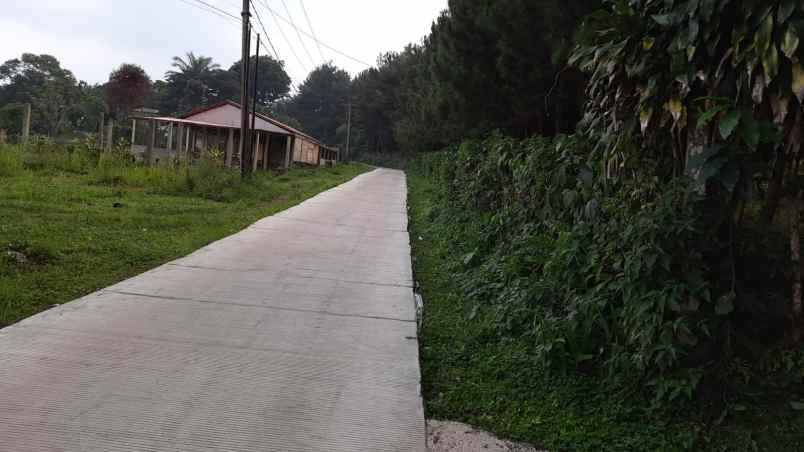 dijual tanah jln lodaya gunung geulis