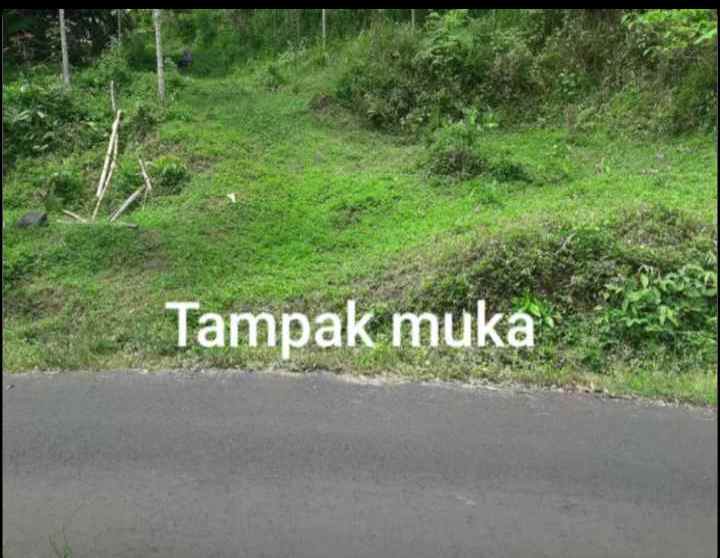 dijual tanah jln parigi