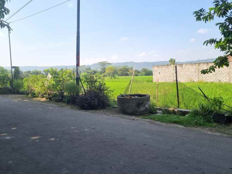 dijual tanah jogotirto berbah sleman