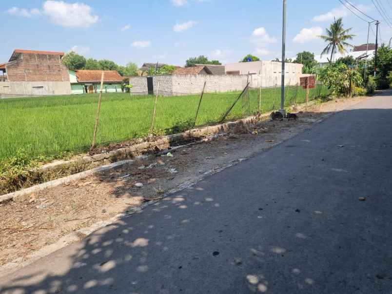 dijual tanah jogotirto berbah sleman