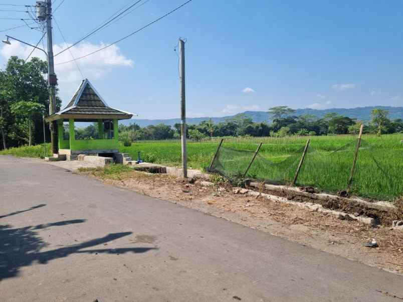 dijual tanah jogotirto berbah sleman