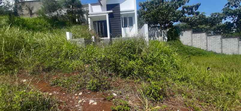 dijual tanah kampung padi