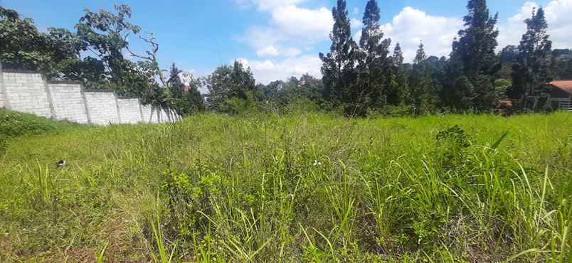 dijual tanah kampung padi