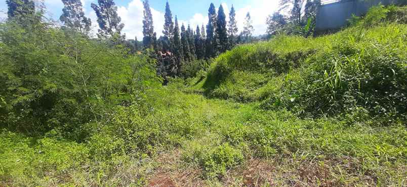 dijual tanah kampung padi