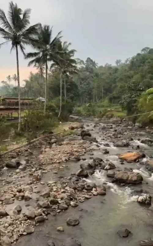 dijual tanah kavling murah free shm di cipanas puncak