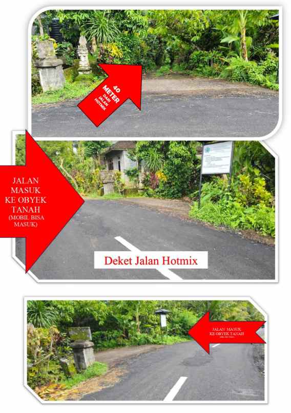 dijual tanah kebun dgn luas 14 000m