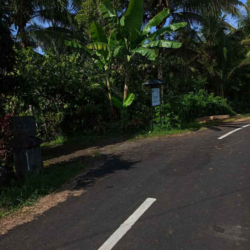 dijual tanah kebun dgn luas 14 000m