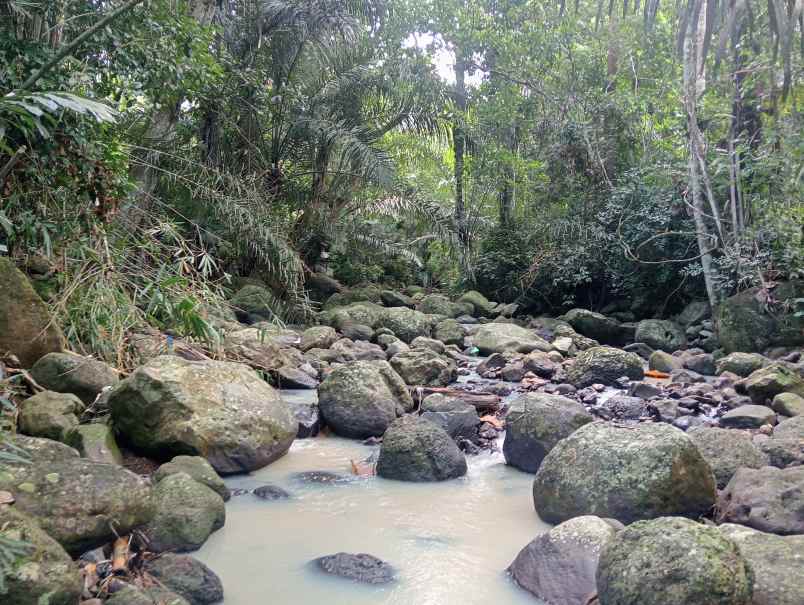 dijual tanah kebun los sungai murah tempat strategis