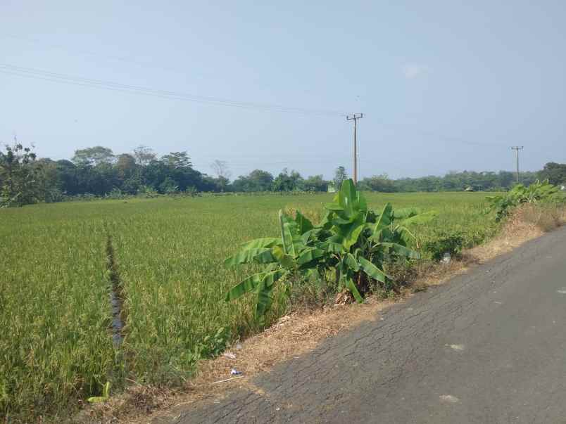 dijual tanah kec pancalng kab kuningan