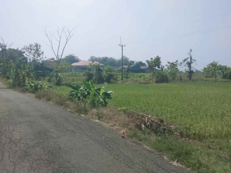 dijual tanah kec pancalng kab kuningan