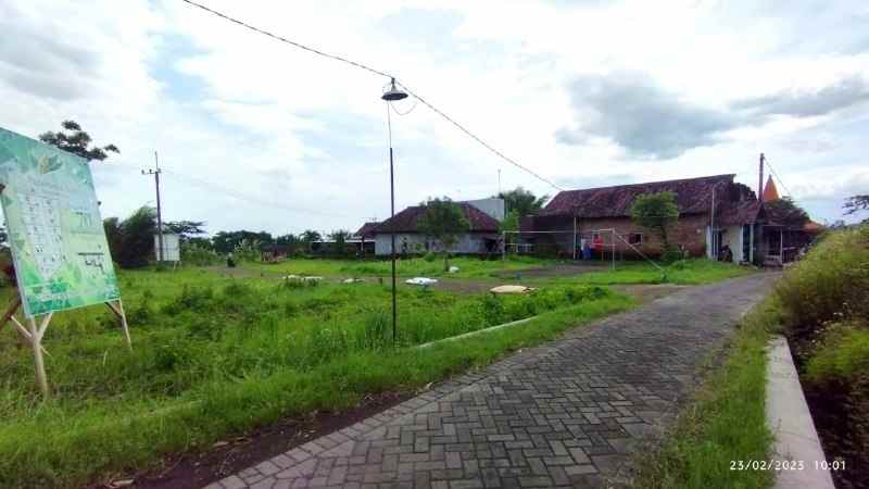 dijual tanah kemuning sumbersuko kec