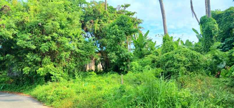 dijual tanah keramas gianyar bali