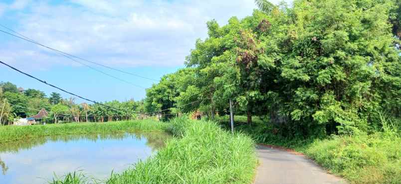 dijual tanah keramas gianyar bali