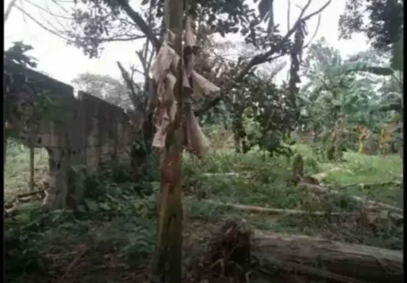 dijual tanah komplek bappenas cinangka