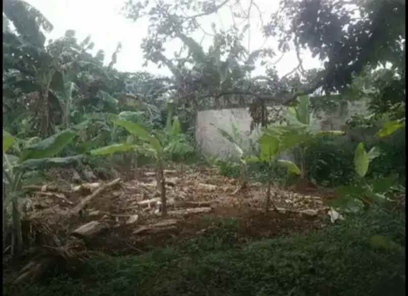 dijual tanah komplek bappenas cinangka