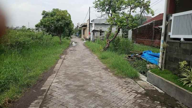 dijual tanah ktaganngrdangan sidoarjo