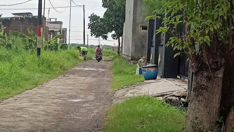 dijual tanah ktaganngrdangan sidoarjo