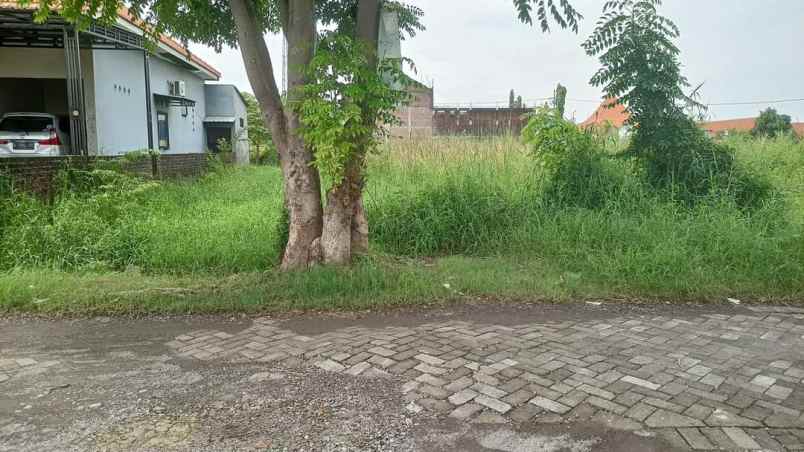 dijual tanah ktaganngrdangan sidoarjo