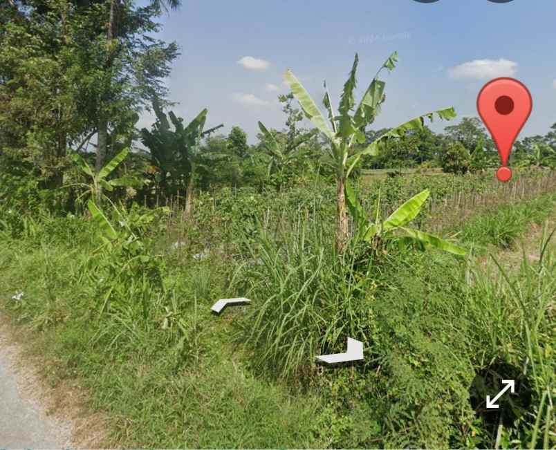 dijual tanah leses manisrenggo