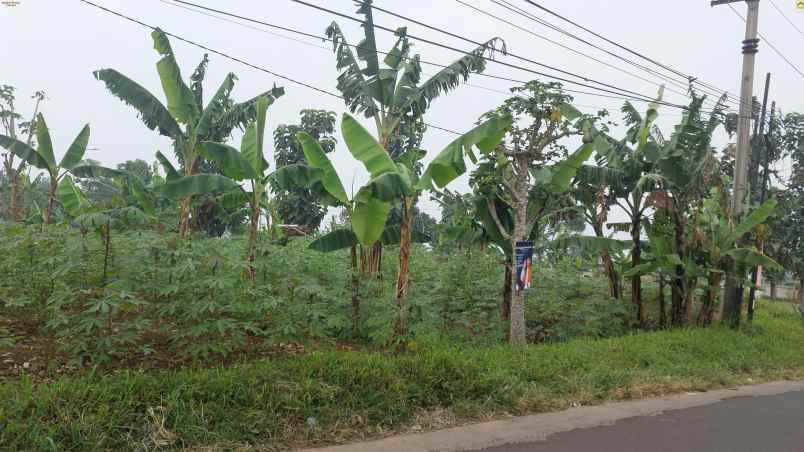 dijual tanah matang posisi mainroad jl pakuhaji cimahi