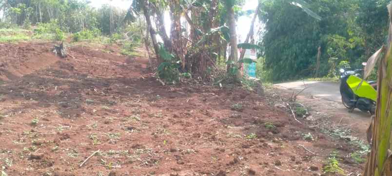 dijual tanah narawita